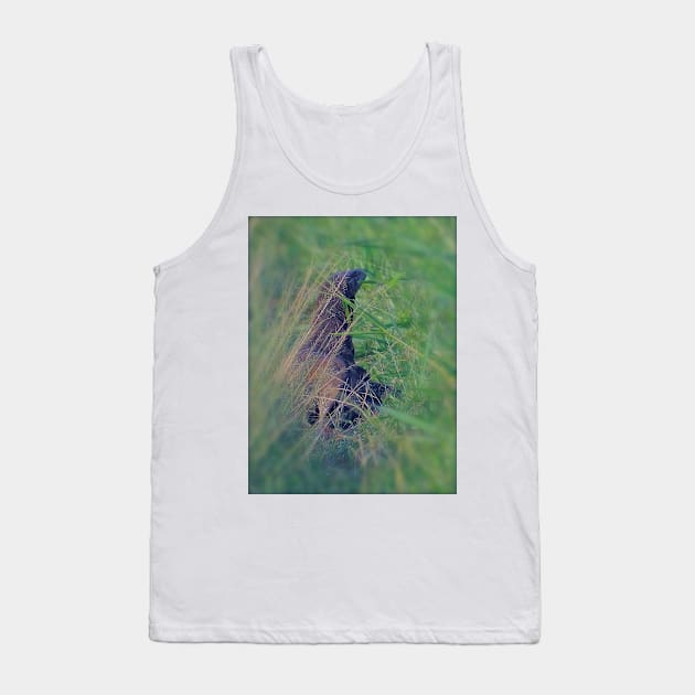 BORNEO DRAGON Tank Top by dumbodancer